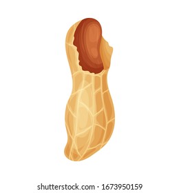 Fresh peanuts closeup. Colorful simple flat cartoon style. Isolated vector illustration.