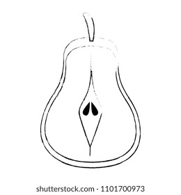 fresh pear fruit icon
