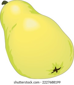 Fresh Pear Fruit Vector Illustration