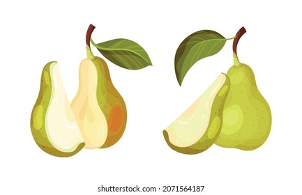 Fresh pear set. Whole and cut in half organic fruit vector illustration