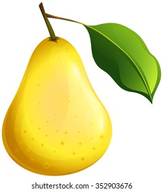 Fresh pear with stem illustration