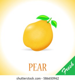Fresh pear. Vector, illustration, eps10.