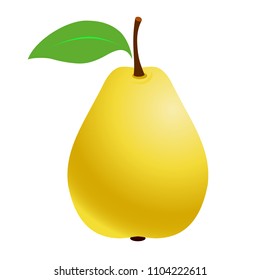 Fresh Pears. Fruit pear on a white background. Vector illustration