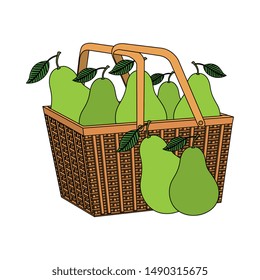 fresh pears fruits in basket straw