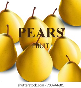 Fresh pears realistic Vector illustration background. Tasty fruits