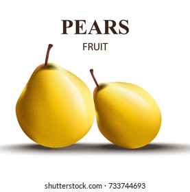 Fresh pears realistic Vector. Tasty fruit on white background