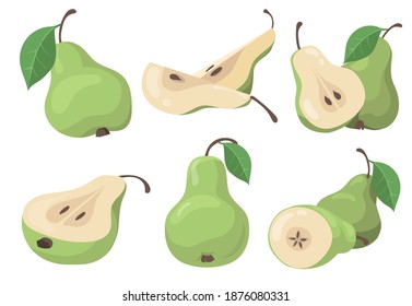 Fresh pears set. Green whole and cut fruits, halves and slices isolated on white. Vector illustration for organic food, vegetarian diet, healthy nutrition concept