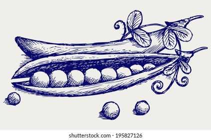 Fresh peas. Doodle style