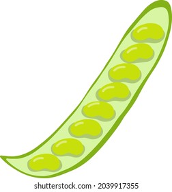 Ilustración vectorial hecha a mano de guisantes frescos. Vegatariano y arveja dietética. Por favor fresco y orgánico. Ingrediente vegetariano para ensalada	