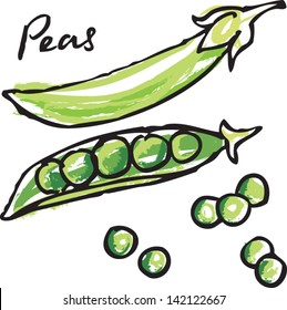 Fresh peas & pods vector illustration