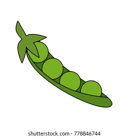 Fresh peas vegetable