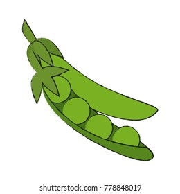 Fresh peas vegetable