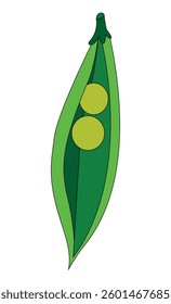 Fresh peas vegetable vector illustration