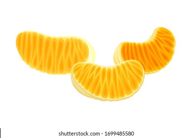Fresh Peeled and Segmented Mandarin or Tangerine Fruit Isolated on White Background Vector Illustration