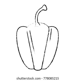 fresh pepper vegetable icon