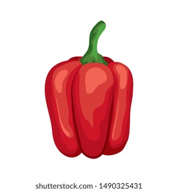 fresh pepper vegetable nature icon