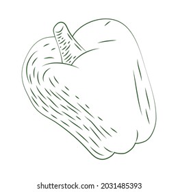 icono de boceto de verduras de pimienta fresca