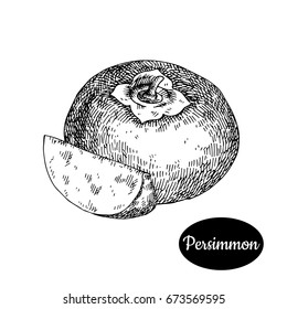 Fresh persimmon. Hand drawn sketch style fruit vector illustration. Isolated drawing on white background. Vitamin and healthy fruit eco food. Farm market produce. 