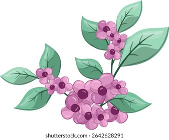 Fresh Petiole small flowers, Beauty