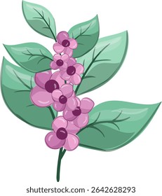 Fresh Petiole small flowers, Beauty