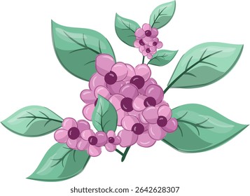 Fresh Petiole small flowers, Beauty