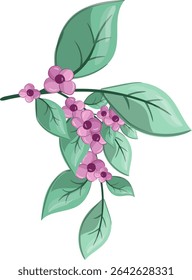 Fresh Petiole small flowers, Beauty