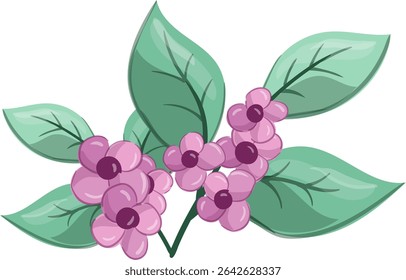 Fresh Petiole small flowers, Beauty