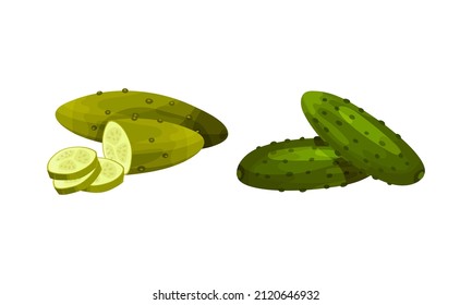 Fresh and pickled cucumber vegetables set. Ingredients for burger and sandwich vector illustration