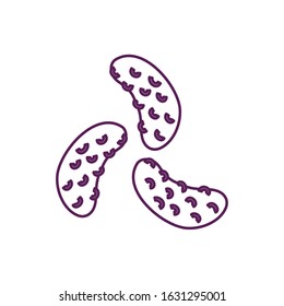 fresh pickles vegetable isolated icon vector illustration design