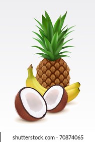 	Fresh pineapple, bananas and coconut