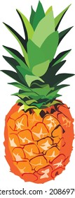 Fresh pineapple. Color vector illustration