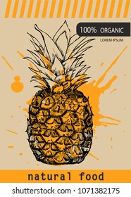 Fresh pineapple design template. Botanical fruit. Engraved pineapple. Vector illustration