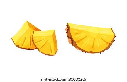 Fresh Pineapple Exotic Fruit Cut to Pieces Vector Set