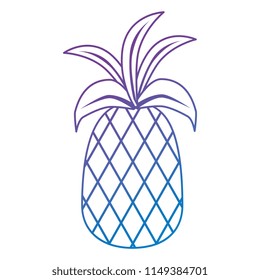 fresh pineapple fruit icon