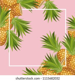 fresh pineapple fruit tropical frame