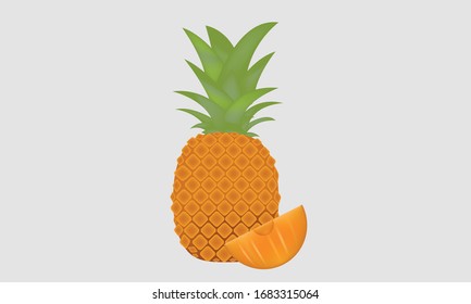 Fresh pineapple fruit tropical vector and illustration