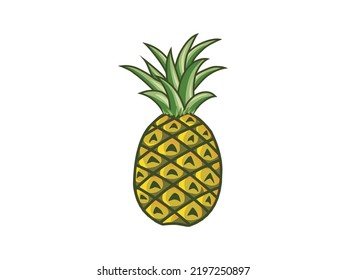 fresh pineapple fruits vector isolated
