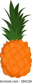 Fresh pineapple, illustration, vector on white background