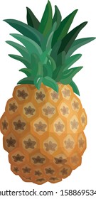 Fresh pineapple on white background - vector