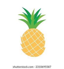 Fresh pineapple on white background