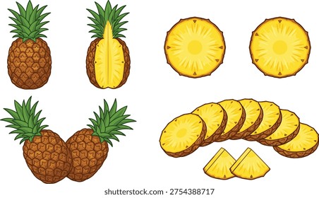 Fresh pineapple whole half and slices tropical fruit vector illustration juicy organic healthy food collection isolated set