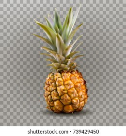 Fresh Pineapple.3d vector icon.Sweet fruit.Realistic illustration