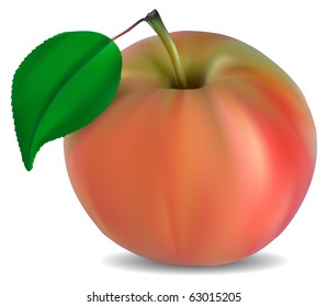 fresh pink apple with green leaf vector