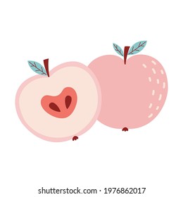fresh pink apples set, collection, vector illustration of whole and cut in half apples isolated on white background