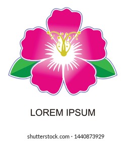 fresh pink flower vector design