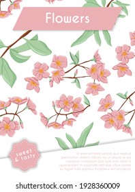 Fresh pink flowers on branch with leaves card template. Vector hand drawn illustration of spring flowers. Pastel cherry or sakura flowers. Invitation card, wedding, cosmetics banner concept.
