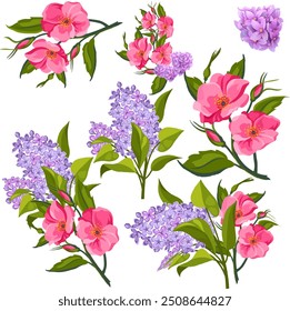 fresh pink and lilac vector blossom flower illustration pack