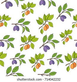 Fresh plum and apricot seamless pattern. Vector illustration for web