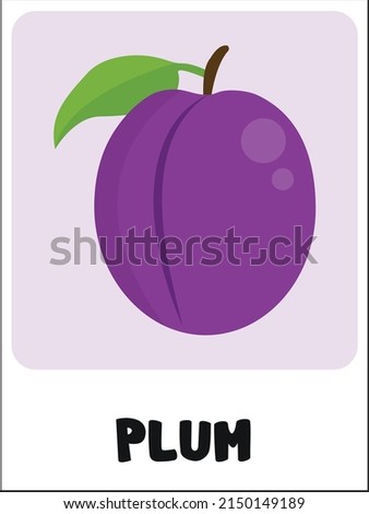 Fresh Plum flashcard vector illustration