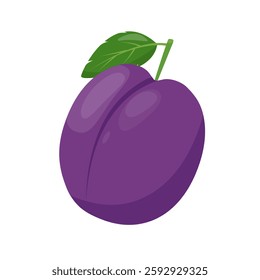 Fresh plum fruit icon. Organic plum fruit for juice, smoothie or vitamin healthy food and dessert. Vector icon illustration isolated on white background.